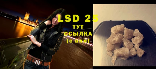 PSILOCYBIN Медвежьегорск