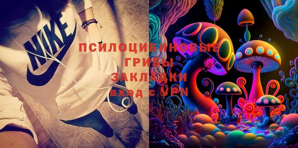 PSILOCYBIN Медвежьегорск